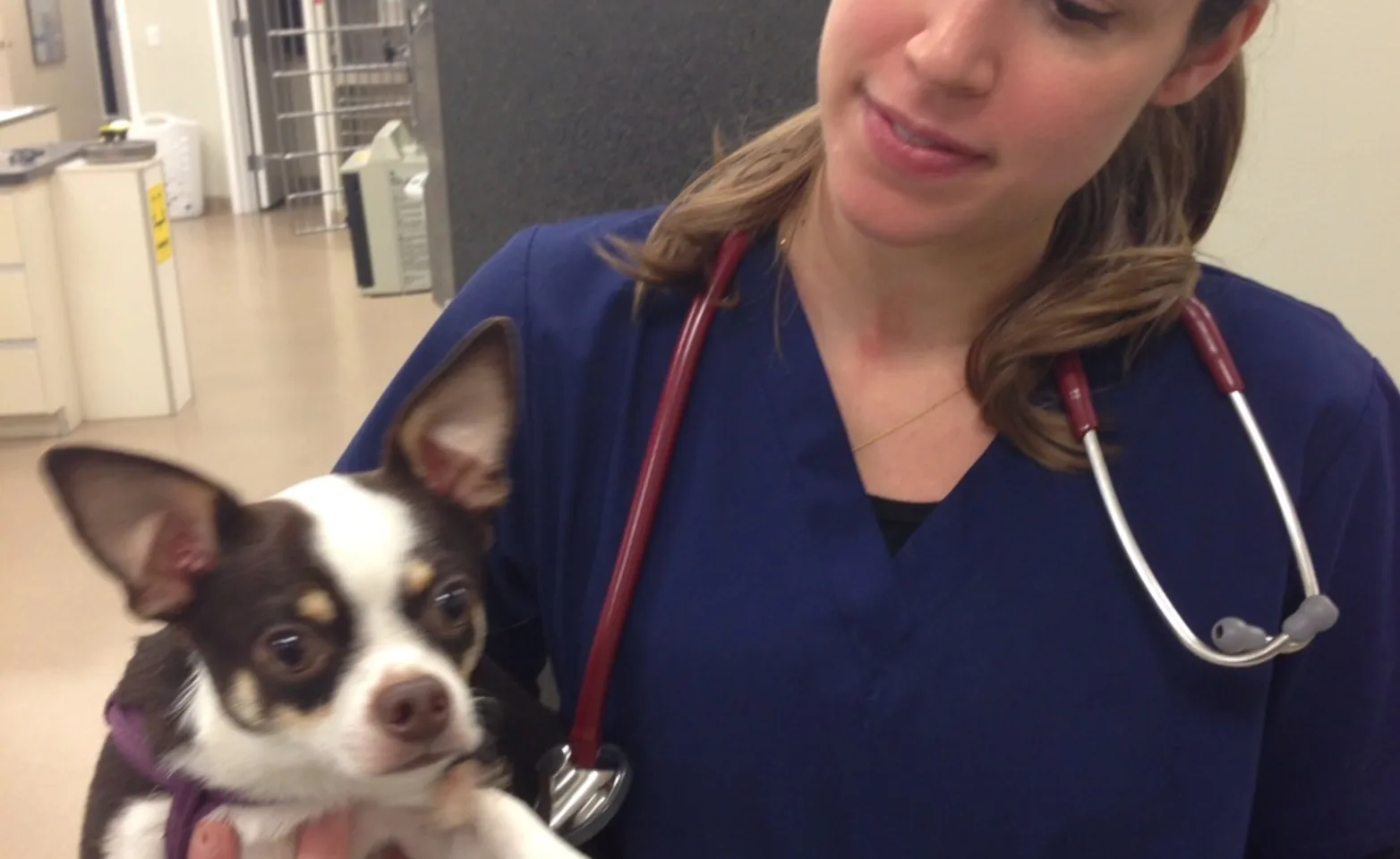 Dr. Kuchembuck, emergency veterinarian poses with a patient.